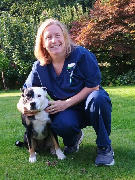 vets in rawtenstall|Vets in Rawtenstall, Rossendale .